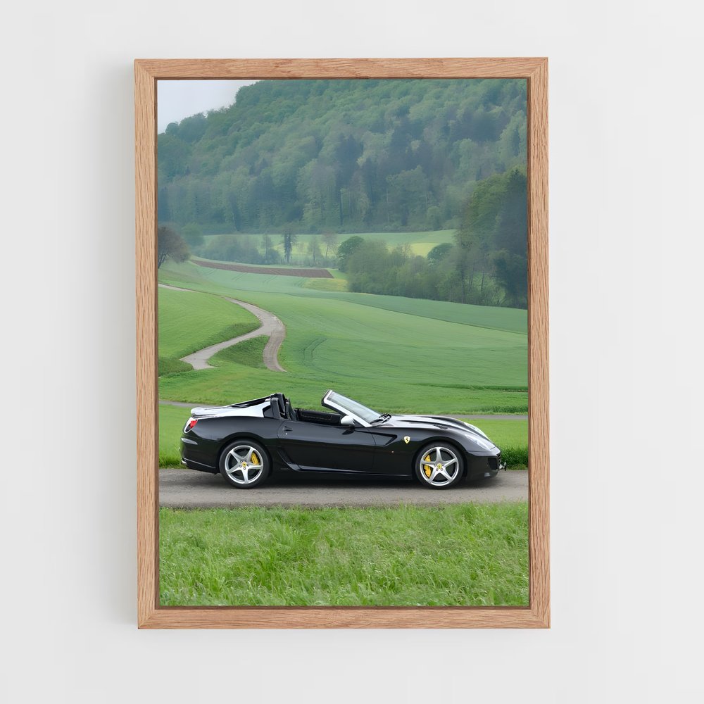 Poster Ferrari Sauvage (vue 4)